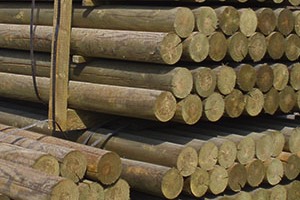 Stacks Image 1077